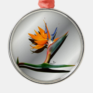 Bird of Paradise with Shadow Ornament