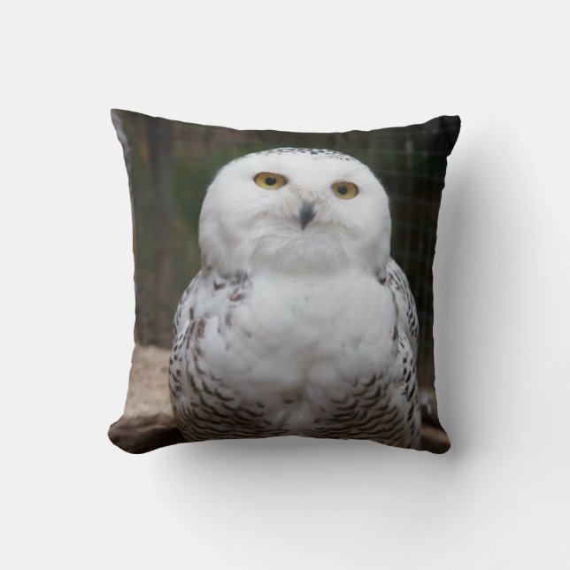 Bird of Prey #19-Snowy Owl Cushion (Front)