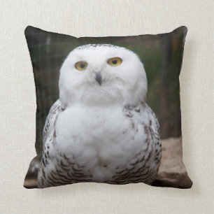 Bird of Prey #19-Snowy Owl Cushion