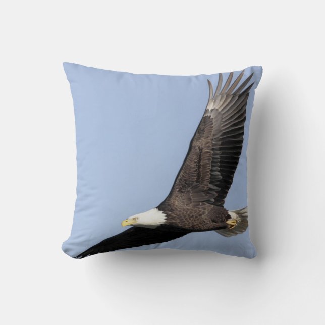 Bird of Prey #22- bald eagle Cushion (Front)