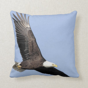 Bird of Prey #22- bald eagle Cushion