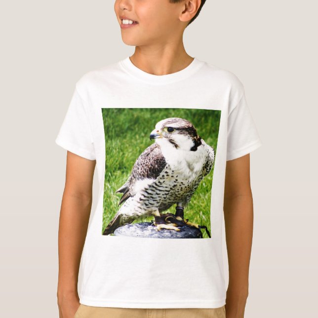 Bird of Prey #2-Peregrine falcon T-Shirt (Front)