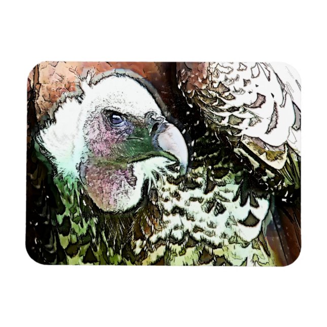 BIRD OF PREY VULTURE MAGNET (Horizontal)