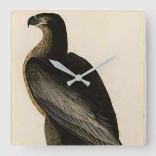 Bird of Washington from Audubon's Birds of America Square Wall Clock