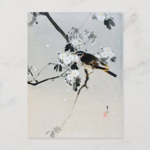 Bird on a Cherry Blossom Branch, Watanabe Seitei Postcard