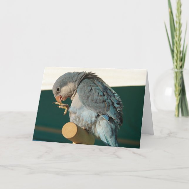 Bird on a Perch Card (Front)