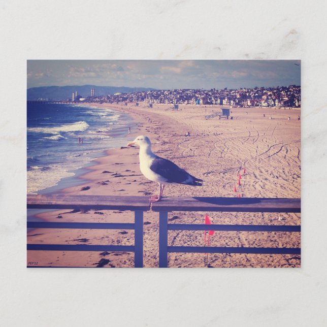 Bird On A Rail Postcard (Front)