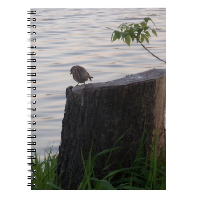 Bird on a Stump Spiral Notebook (Front)