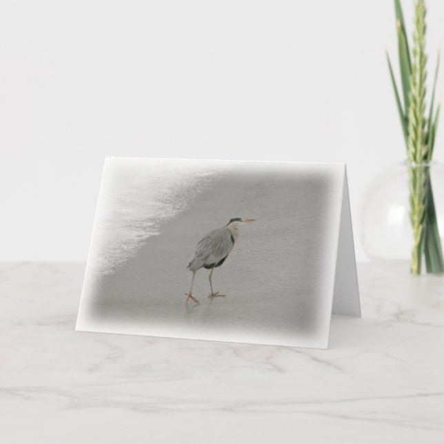 Bird On Beach Photo Card (Front)