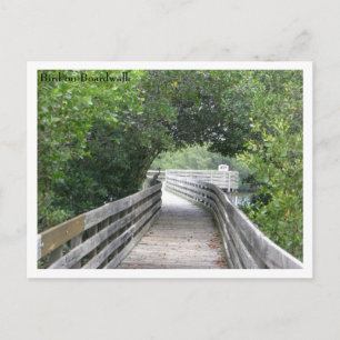 Bird on Boardwalk Postcard