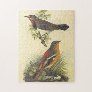 Bird on Branch, Bird on Ground Puzzle
