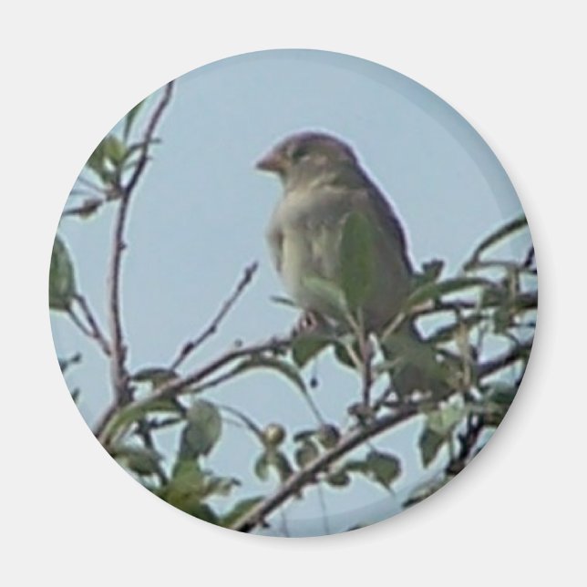 Bird On Branch Magnet (Front)
