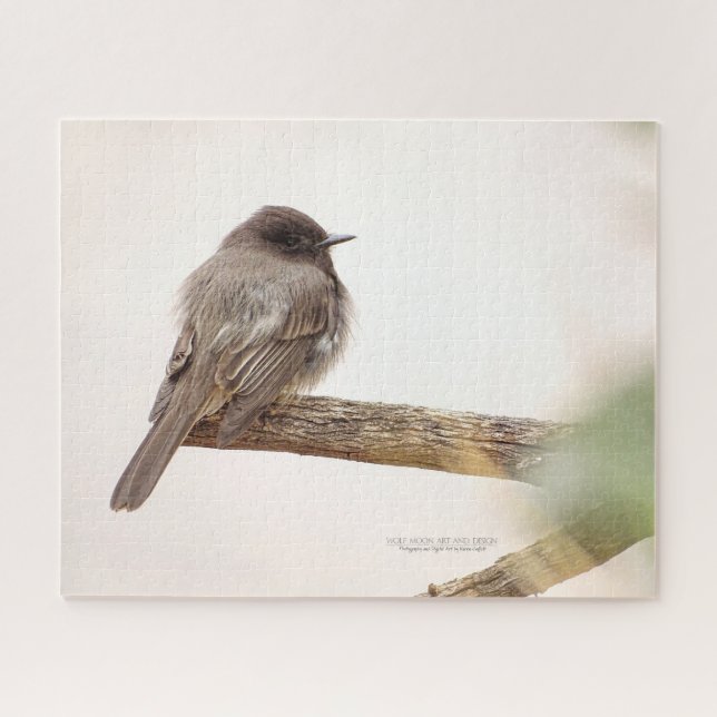 Bird On Branch Young Junvenile Black Phoebe Jigsaw Jigsaw Puzzle (Horizontal)