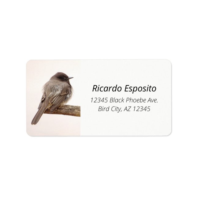 Bird On Branch Young Junvenile Black Phoebe Label (Front)