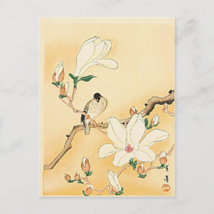 Bird on Magnolia Tree Japanese Woodblock Print Postcard
