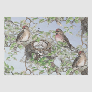 Bird on Nest Blue Sky Trees Leaves Decoupage Craft Tissue Paper