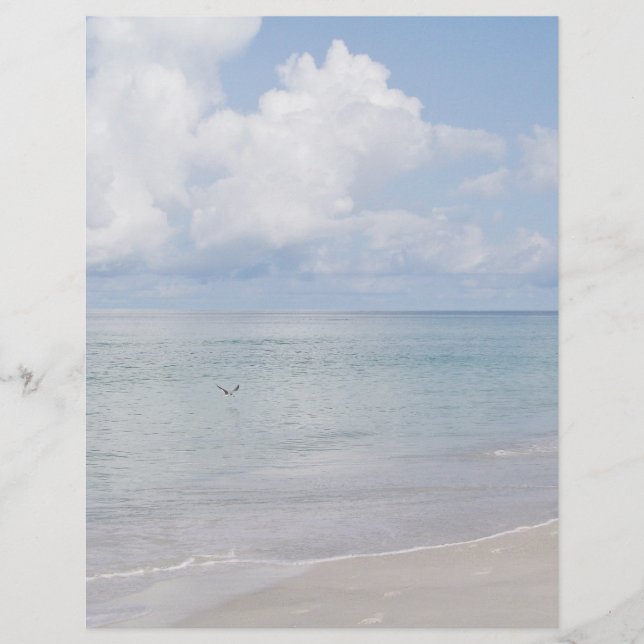 Bird on the Beach Stationary (Front)