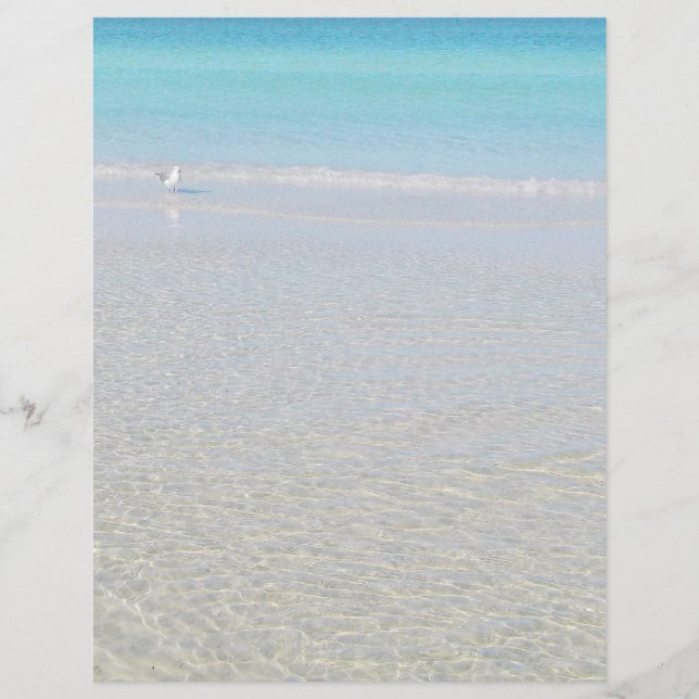 Bird on the Beach Stationary (Front)