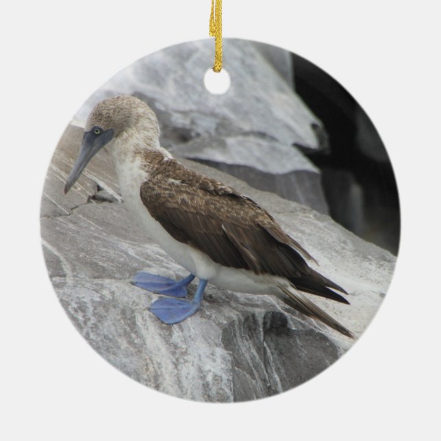 Bird Ornament (Back)