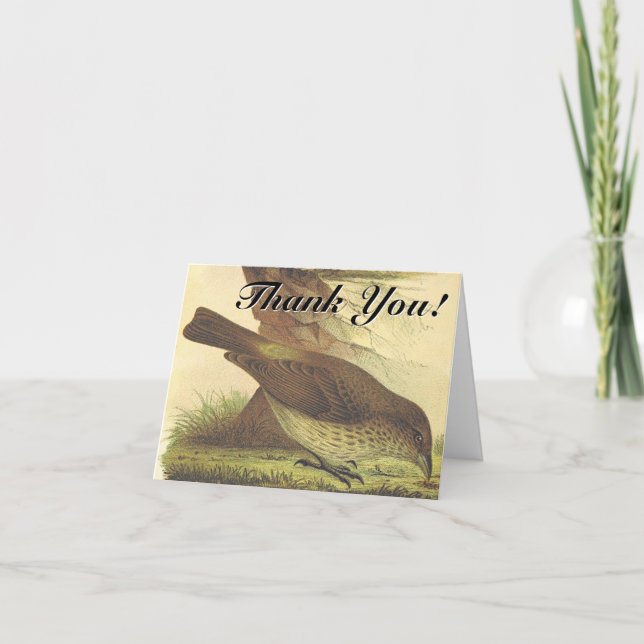 Bird Pecking At The Ground "Thank You!" Card (Front)