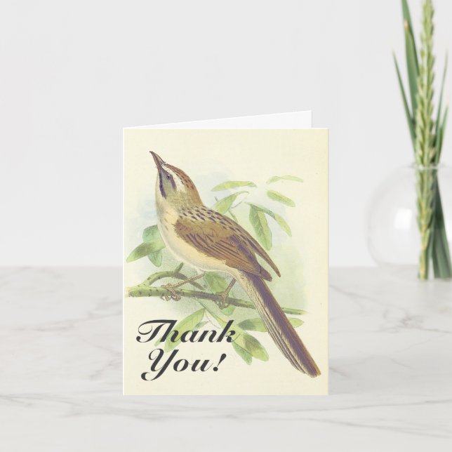 Bird Perched on a Branch, "Thank You!" Card (Front)