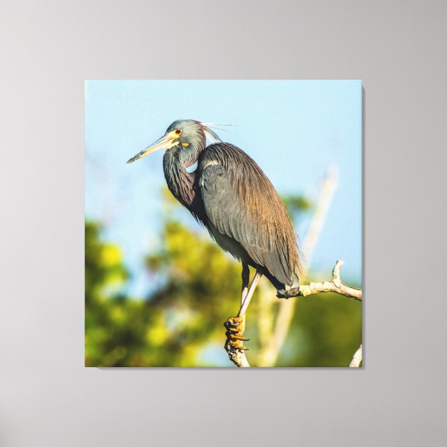 Bird Perfect 35.70 x 37 Stretched Canvas Print (Front)