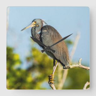 Bird Perfect Acrylic Wall Clock