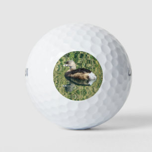 Bird Photo Little Grebe Water Reflection Nature Golf Balls