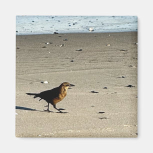 Bird Photo Magnet