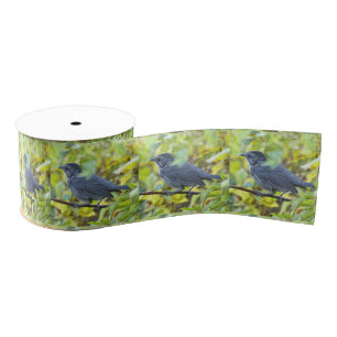  Bird Photo Ribbon Grosgrain Ribbon