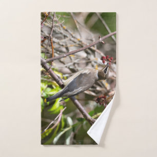Bird Photography, Bohemian Waxwing Bath Towel Set