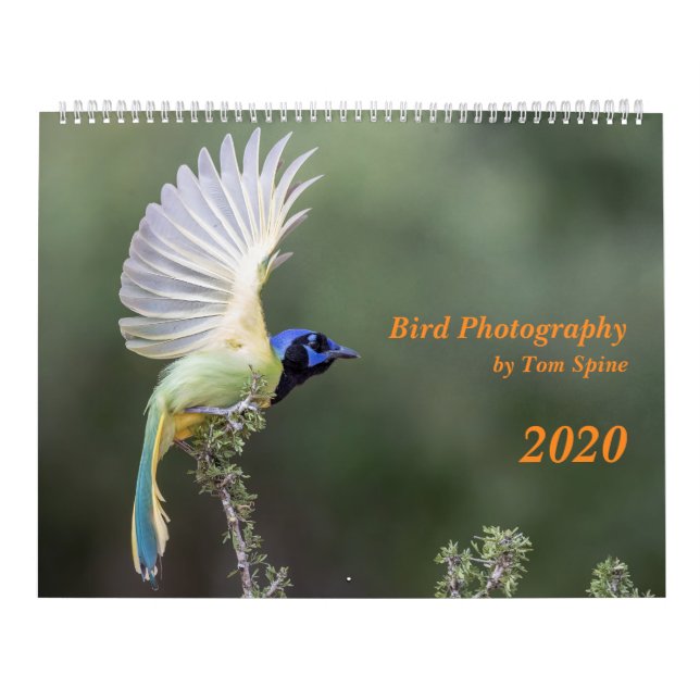 Bird Photography by Tom Spine, 2020 Calendar (Cover)