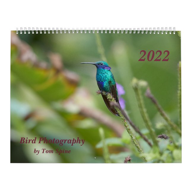 Bird Photography by Tom Spine, 2022 Calendar (Cover)