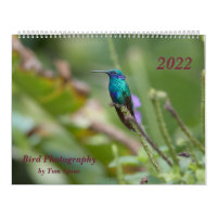Bird Photography by Tom Spine, 2022