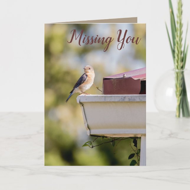 Bird Photography Nature Missing You Card (Front)