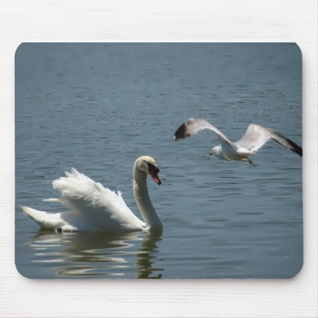 Bird Playing With Swan Mouse Pad (Front)
