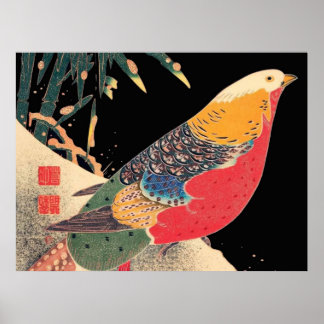 Bird Poster
