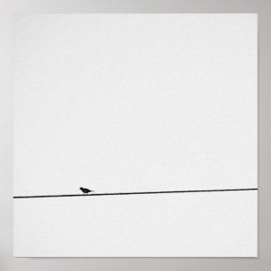 Bird put in black and white poster