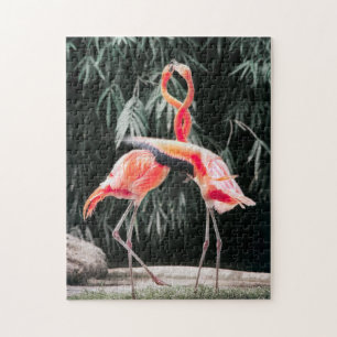 Bird Puzzles Bird Photograph Best Wildlife Photos
