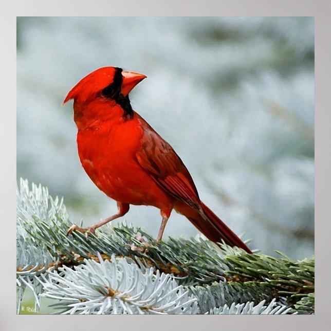 Bird red poster (Front)