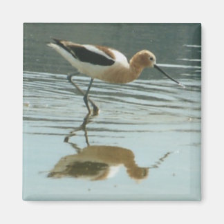 Bird Reflection at Mono Lake Magnet