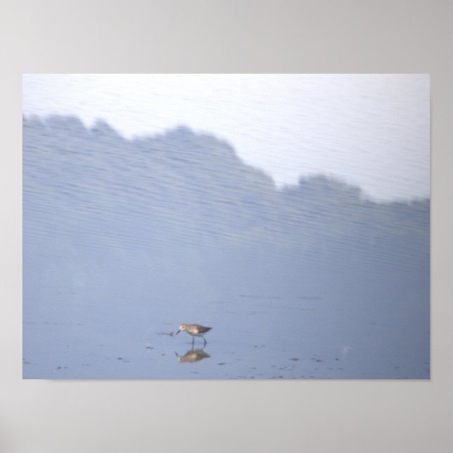 Bird Reflection Poster (Front)