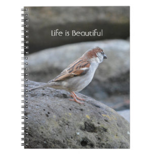 Bird Rock Kauai (my photography) Notebook