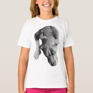 Bird’s-Eye Dog: Pitbull Mix at Rest T-Shirt