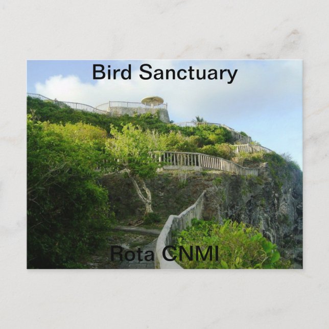 Bird Sanctuary Postcard (Front)
