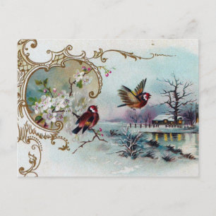 Bird Scene Postcard