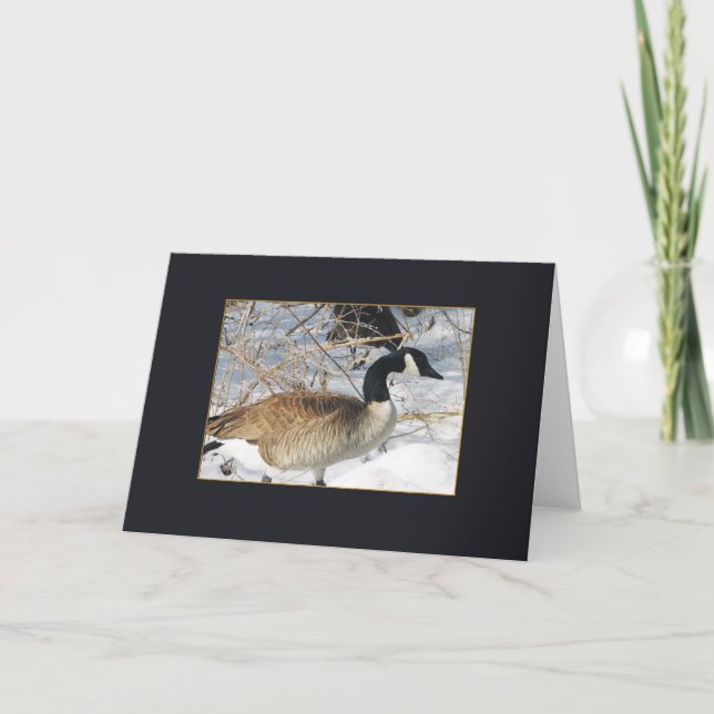 bird series card (Front)