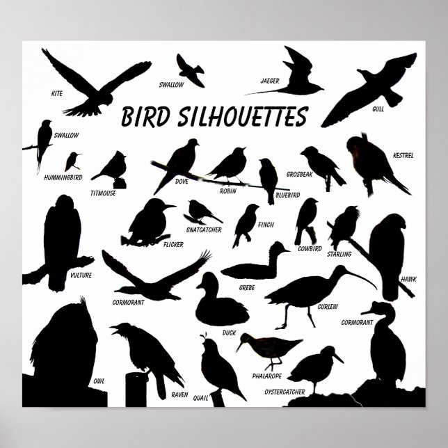 Bird Silhouettes (29) Poster (Front)