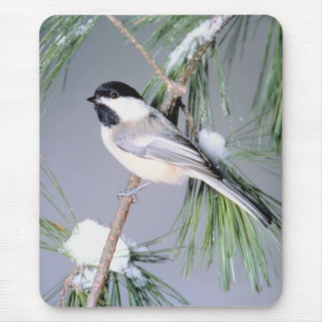 Bird Snow Covered Branch Mouse Pad (Front)