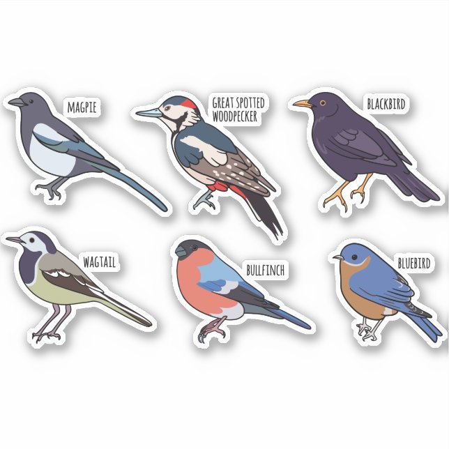 BIRD SPECIES SET (Front)